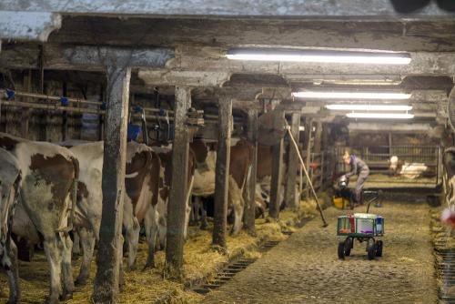 L'étable est ancienne et authentique