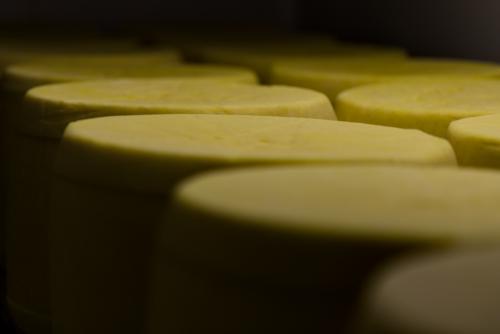 Les pièces de Salers entreposées en cave