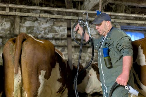 Mise en place de la trayeuse