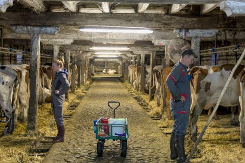 Surveillance de la traite en cours